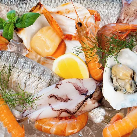 Corallo Marina Romea