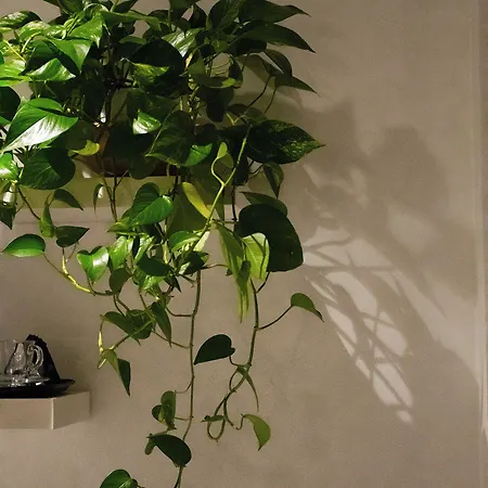 Corallo 4* Marina Romea