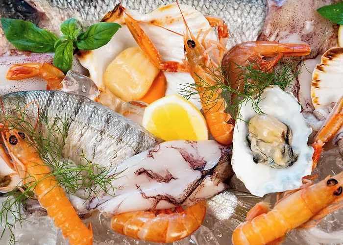 Corallo Марина-Ромеа