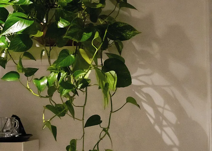 Corallo 4* Марина-Ромеа